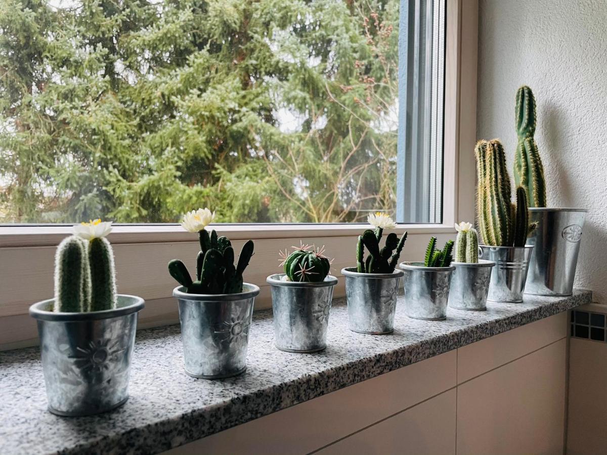 Limes Apartment -Uebernachten Am Limes- ライナウ エクステリア 写真