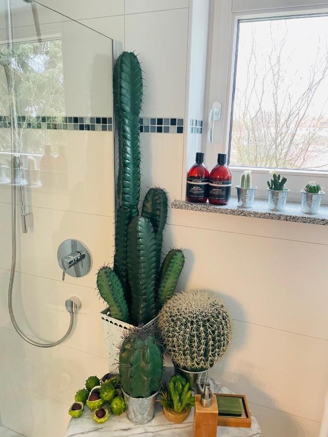 Limes Apartment -Uebernachten Am Limes- ライナウ エクステリア 写真