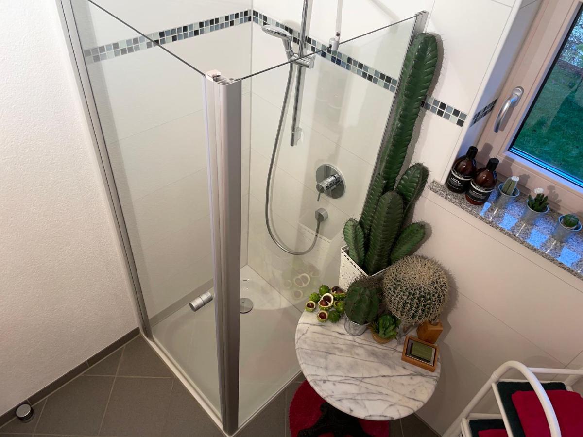Limes Apartment -Uebernachten Am Limes- ライナウ エクステリア 写真